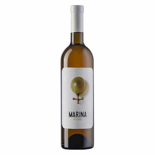 Explorateur du vin Marina Mtsvane