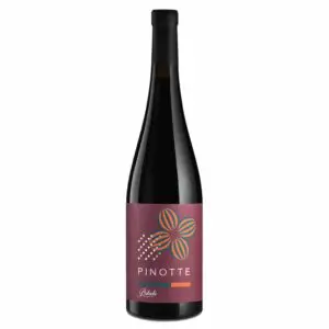 Pinotte Bikicki Naturwein Wein Entdecker